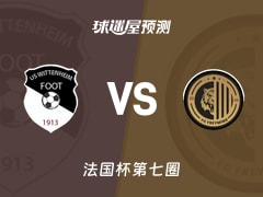 法国杯比赛前瞻：维特内姆vs弗赖明预测分析(2025年11月16日)