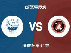 法国杯比赛前瞻：披勒德兰vs帕拉宾尼克预测分析(2025年11月16日)