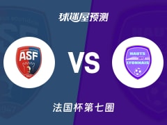 法国杯比赛前瞻：安德兹vs哈特里昂预测分析(2025年11月16日)