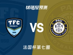 法国杯比赛前瞻：特雷利萨克vs波城预测分析(2025年11月16日)