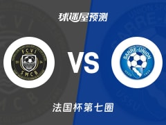 法国杯比赛前瞻：维拉莱尔vs萨尔里联预测分析(2025年11月16日)