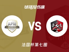 【法国杯】APM梅斯vs弗勒里梅洛吉斯伤病名单最新(2025年11月16日)