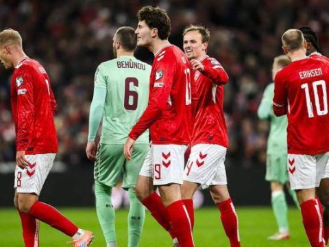 [爱奇艺全场集锦] 世预赛-达姆斯高破门 丹麦2-2白俄罗斯末轮不败晋级世界杯