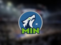 森林狼伤病报告：香农因脚受伤无法出场(2025年11月18日)