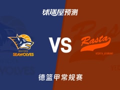 德篮甲比赛前瞻：罗斯托克vs维切塔预测分析(2025年11月22日)