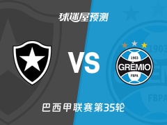 巴西甲比赛前瞻：博塔弗戈vs格雷米奥预测分析(2025年11月23日)