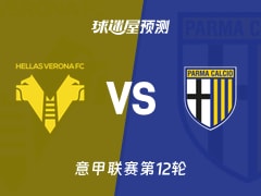 意甲比赛前瞻：维罗纳vs帕尔马预测分析(2025年11月23日)