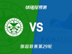 挪超比赛前瞻：汉坎vs海于格松预测分析(2025年11月23日)