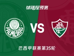 巴西甲比赛前瞻：帕尔梅拉斯vs弗鲁米嫩塞预测分析(2025年11月23日)