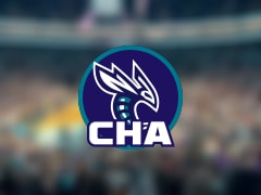 黄蜂伤病报告：曼恩因脚踝受伤出战成疑(2025年11月23日)