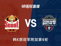 【韩K联冠军附加第4轮】FC首尔vs金泉尚武直播在线观看(2025年11月22日)