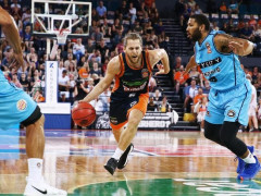 nbl前瞻 新西兰破坏者VS凯恩斯毒蛇比分推荐|预测（11月22日）倒一倒二的对决！