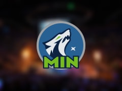 森林狼伤病报告：香农因脚受伤无法出场(2025年11月25日)