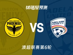 澳超比赛前瞻：惠灵顿凤凰vs阿德莱德联预测分析(2025年11月29日)