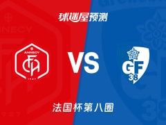 法国杯比赛前瞻：昂纳西vs格勒诺布尔预测分析(2025年11月29日)