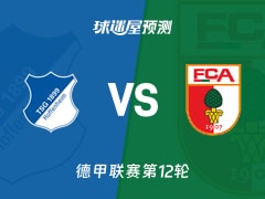 德甲比赛前瞻：霍芬海姆vs奥格斯堡预测分析(2025年11月29日)