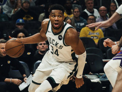 NBA杯小组赛雄鹿vs尼克斯 雄鹿伤病报告出炉！字母哥出战成疑