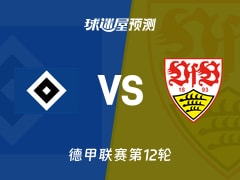 德甲比赛前瞻：汉堡vs斯图加特预测分析(2025年11月30日)
