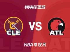 骑士vs老鹰回放录像【2025年11月29日】