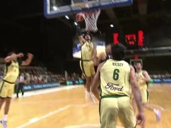 【世亚预第一阶段】新西兰vs澳大利亚录像回放在线观看(2025年12月01日)