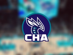 黄蜂伤病报告：鲍尔因手腕受伤出战成疑(2025年12月04日)