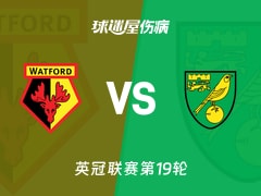 【英冠联赛第19轮】沃特福德vs诺维奇伤病名单最新(2025年12月06日)