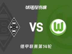 【德甲联赛第14轮】门兴vs沃尔夫斯堡伤病名单最新(2025年12月13日)
