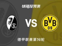 德甲比赛前瞻：弗赖堡vs多特蒙德预测分析(2025年12月14日)