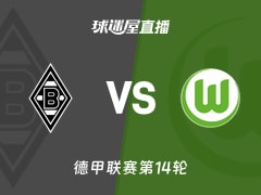 【德甲联赛第14轮】门兴vs沃尔夫斯堡直播在线观看(2025年12月13日)