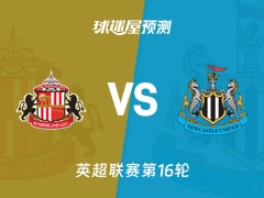 英超比赛前瞻：桑德兰vs纽卡斯尔联预测分析(2025年12月14日)