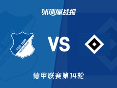 【德甲联赛第14轮】霍芬海姆vs汉堡比赛结果：霍芬海姆(4-1)汉堡比分战报(2025年12月13日)