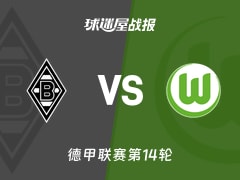 【德甲联赛第14轮】门兴vs沃尔夫斯堡比赛结果：门兴(1-3)沃尔夫斯堡比分战报(2025年12月13日)