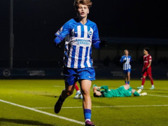 德天空：勒沃库森目前有意布莱顿中场小将哈里·霍维尔，计划在明年夏天签下球员