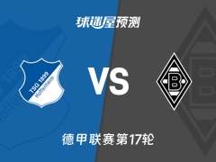德甲比赛前瞻：霍芬海姆vs门兴预测分析(2026年01月15日)