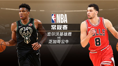 【NBA集锦】11月19日雄鹿vs公牛 字母哥客场强势对飙拉文