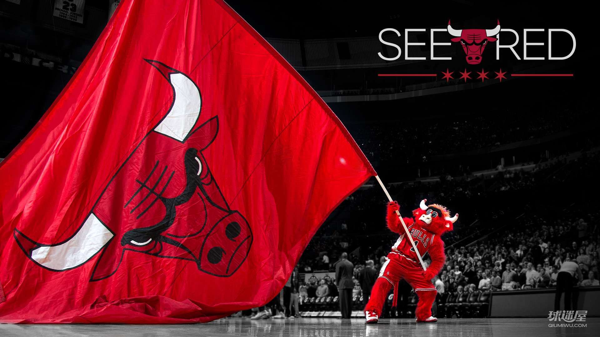 Chicago Bulls Logo Wallpaper (68+ pictures)