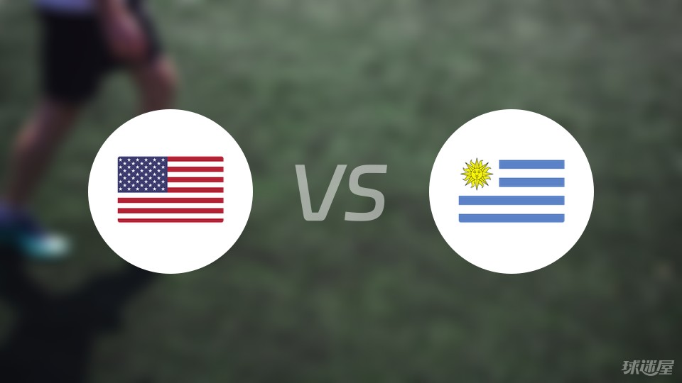 美国vs乌拉圭伤病