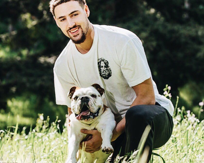 克莱痛失爱犬！13岁Rocco已接受安乐死 可能是NBA最有名的小狗