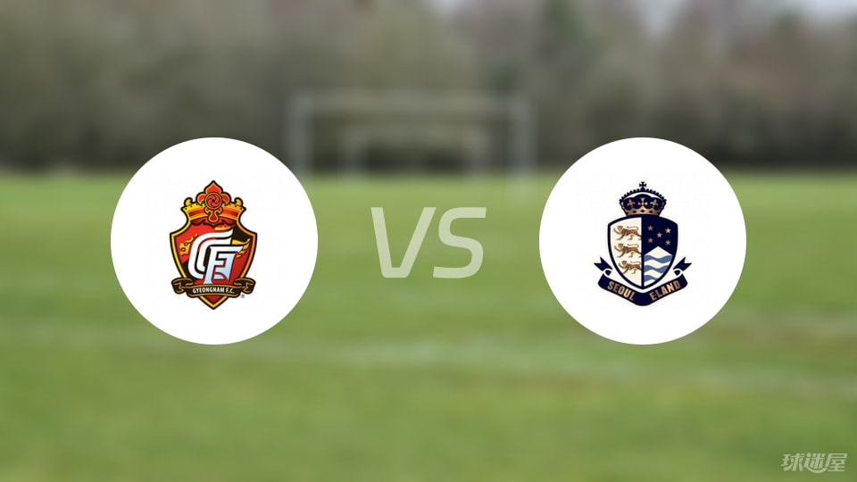 庆南FCvs首尔衣恋比赛结果