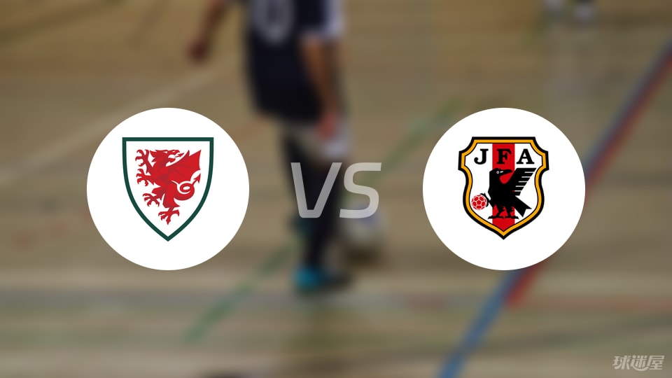 威尔士U16vs日本U16首发