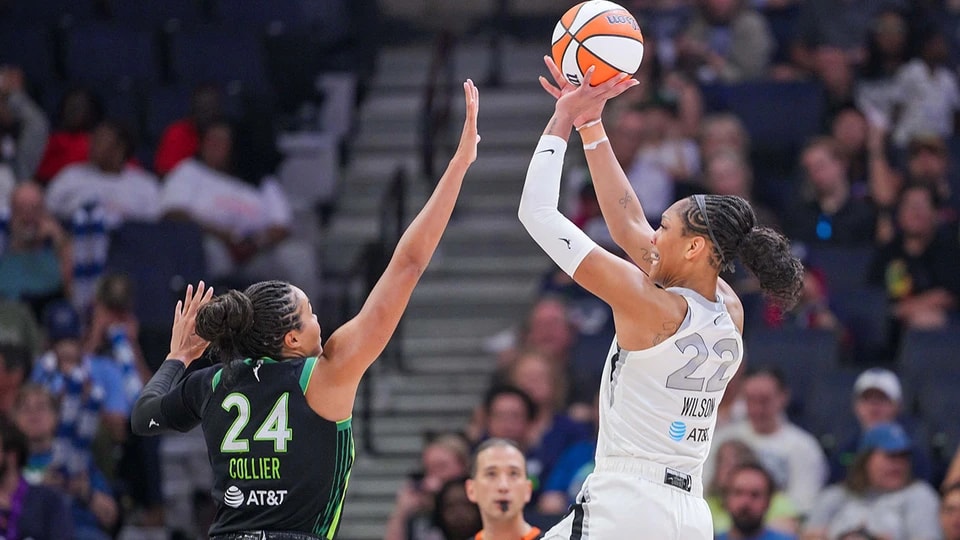 明尼苏达山猫队