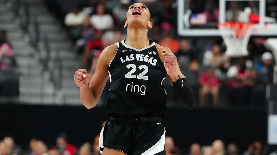 明尼苏达山猫队