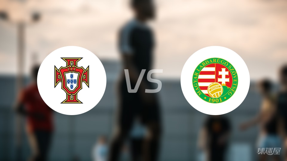 葡萄牙vs匈牙利回放