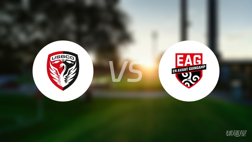 布洛涅vs甘冈伤病