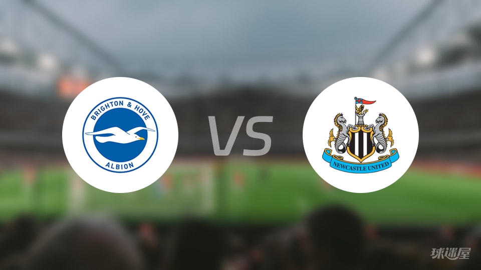布莱顿vs纽卡斯尔联回放