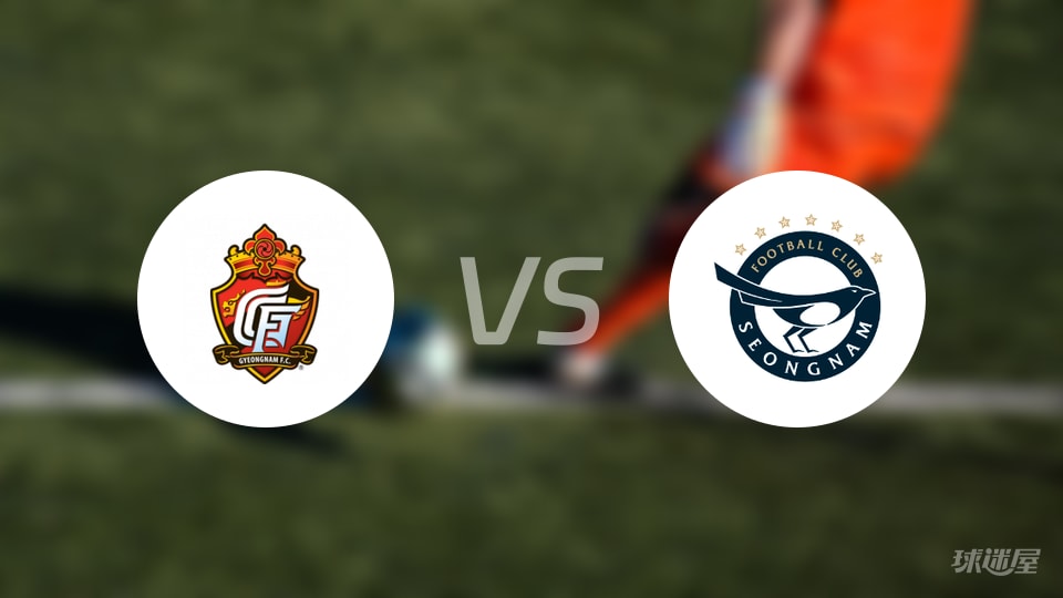 庆南FCvs城南FC首发
