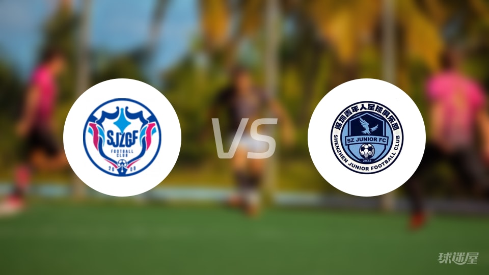 石家庄功夫vs深圳青年人回放