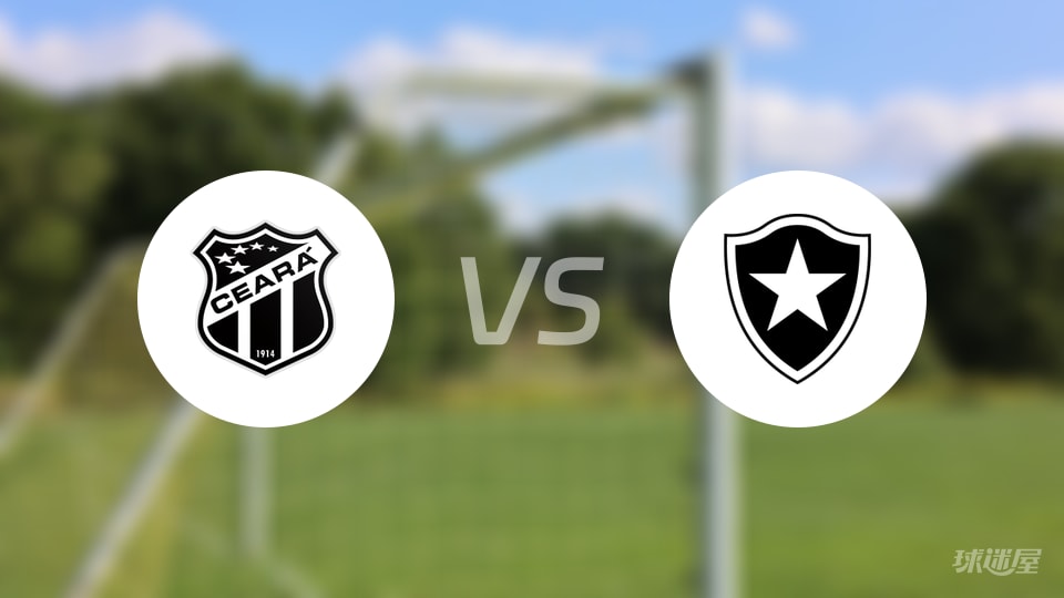 塞阿拉vs博塔弗戈比赛结果