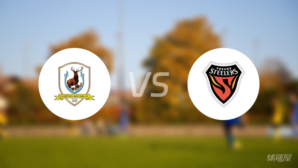 淡滨尼流浪者vs浦项铁人回放