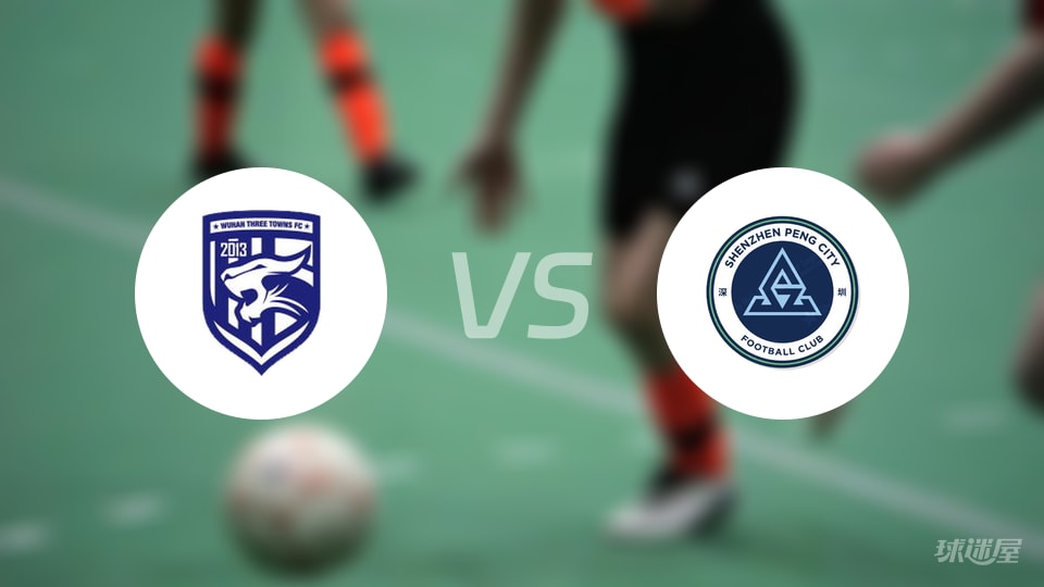 武汉三镇vs深圳新鹏城回放